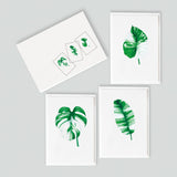Variegated leaves (gorgeously green and white) Card Pack (6 Notecards)