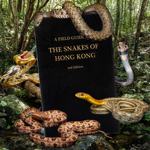 A Field Guide to The Snakes of Hong Kong 2nd Edition