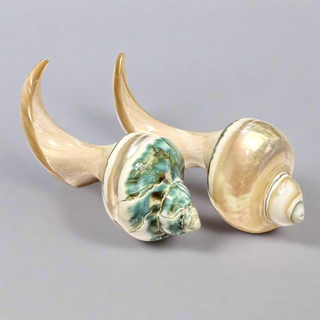 Chopsticks Rest - Shell Collection