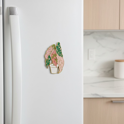 " Hoya Splash Plant " T&B Magnet