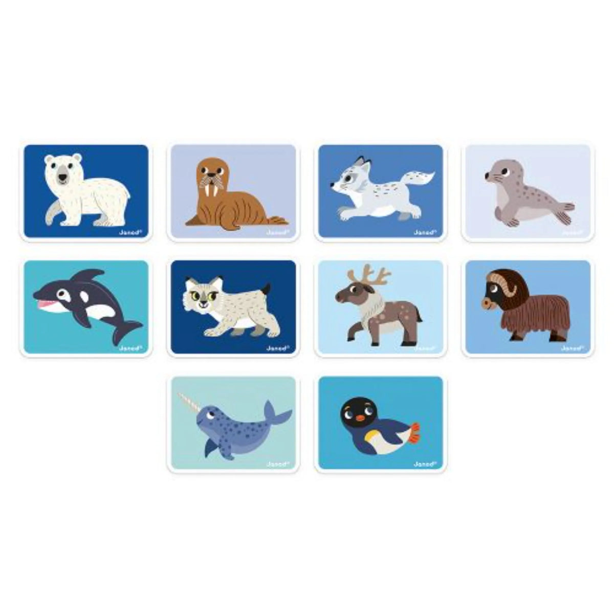 Janod Magneti’book Polar Animals