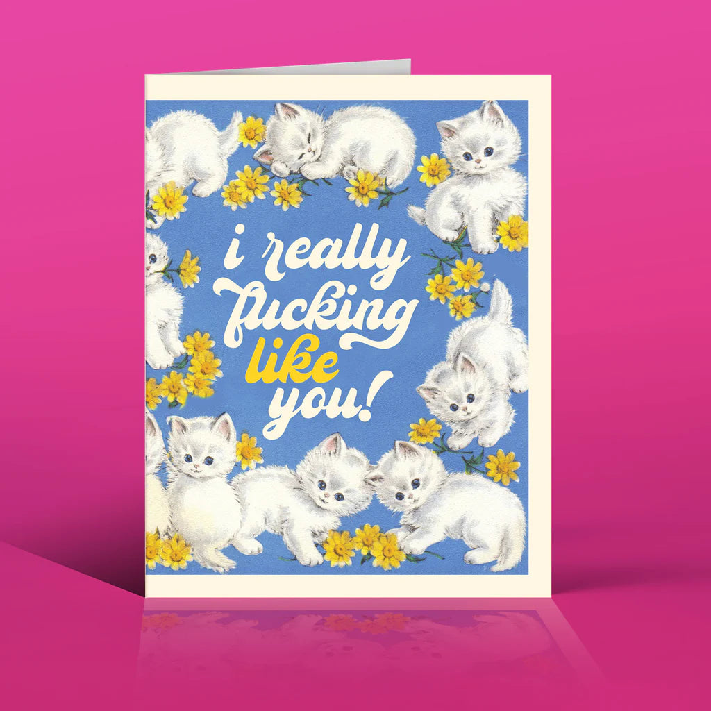 " Like You Kittens! " Love Card