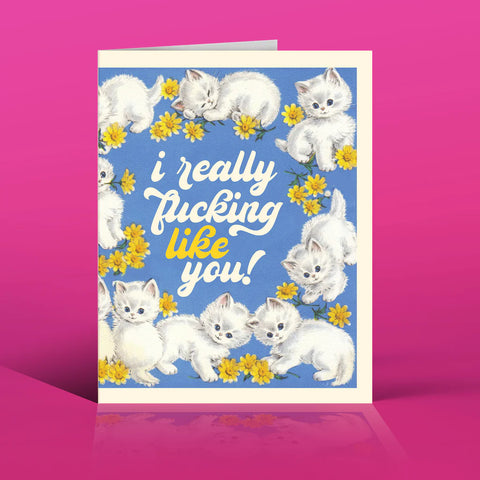 " Like You Kittens! " Love Card