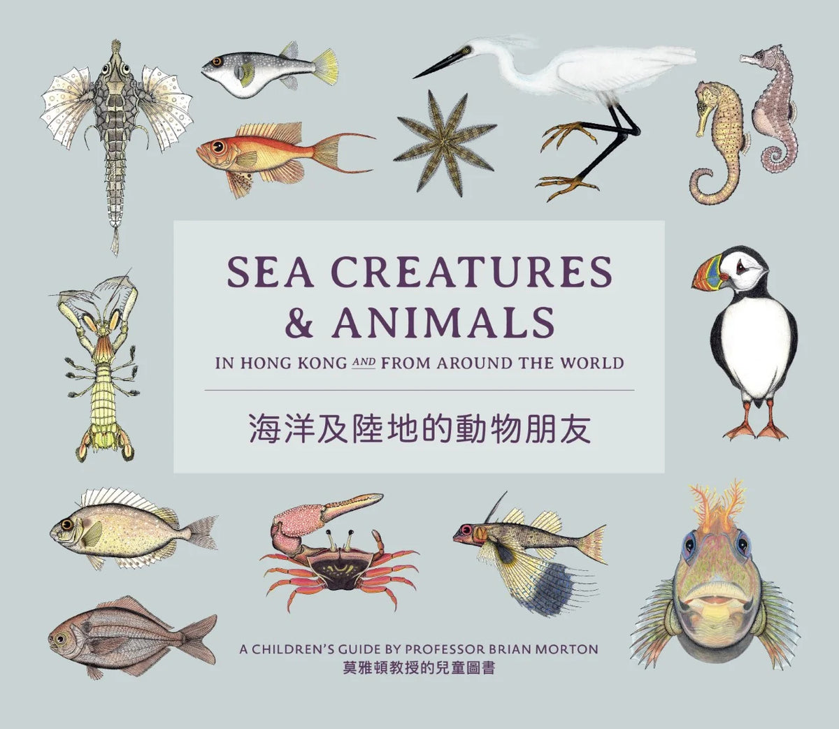 Product image of Sea Creatures & Animals in Hong Kong