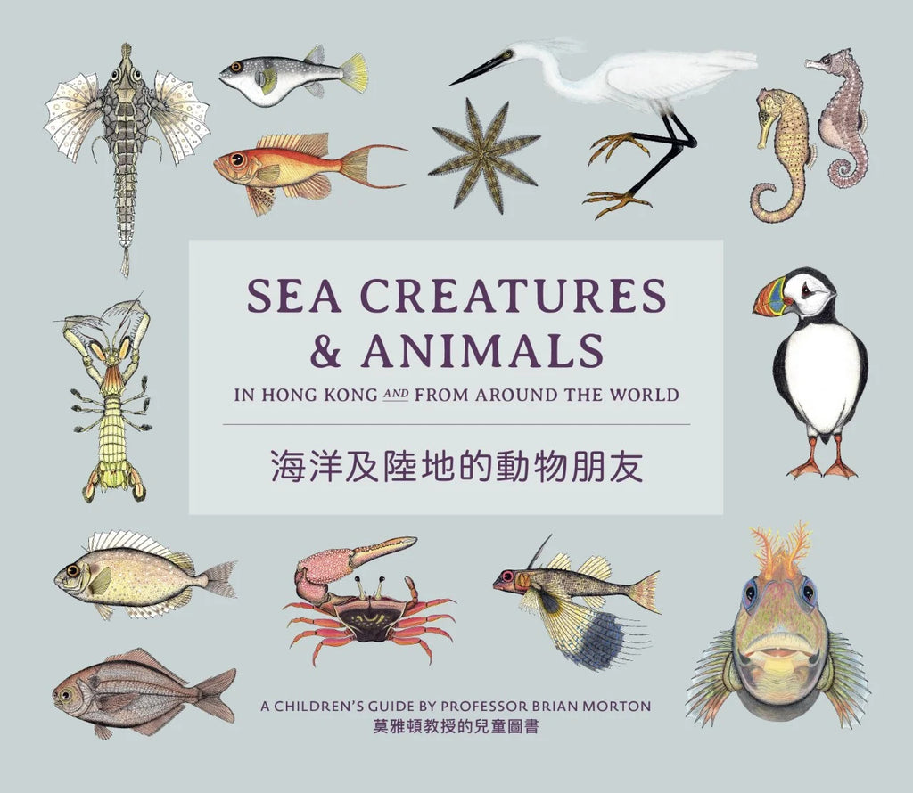 Sea Creatures & Animals in Hong Kong