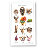 Chinese Zodiac Tea Towel