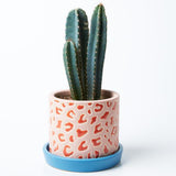 Panther Pot (Multiple Colors)