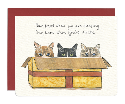 " Cats in a Box " Card