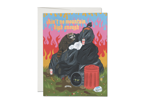 " Raccoon Fun " Card