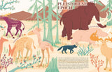 A Brief History of Life on Earth