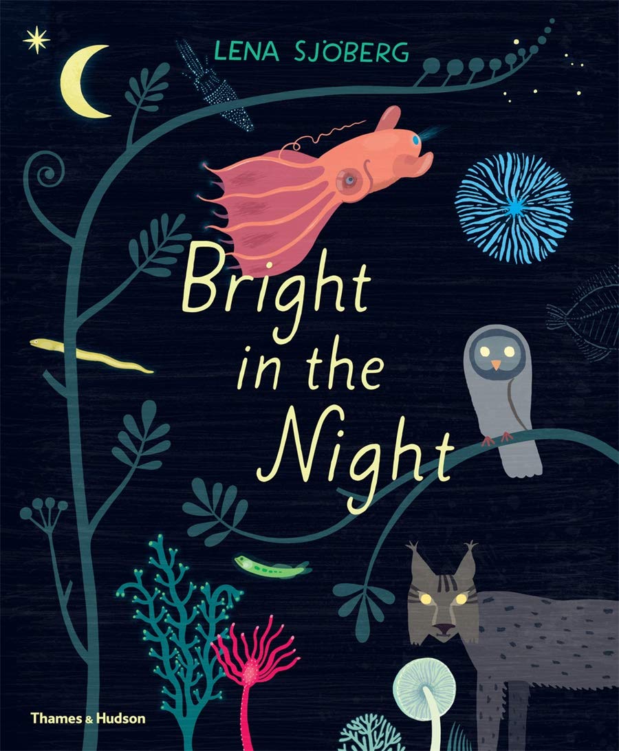 Product image of Bright In The Night