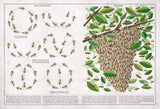 Book Of Bees