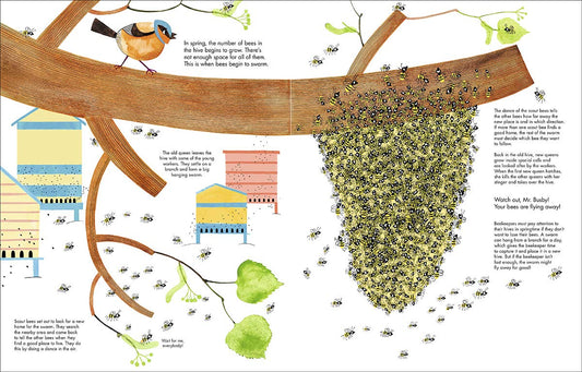 Product image of 1001 Bees