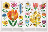 Book Of Bees
