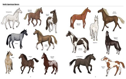 Product image of Big Horses, Little Horses : A Visual Guide to the World's Horses and Ponies