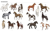 Big Horses, Little Horses : A Visual Guide to the World's Horses and Ponies