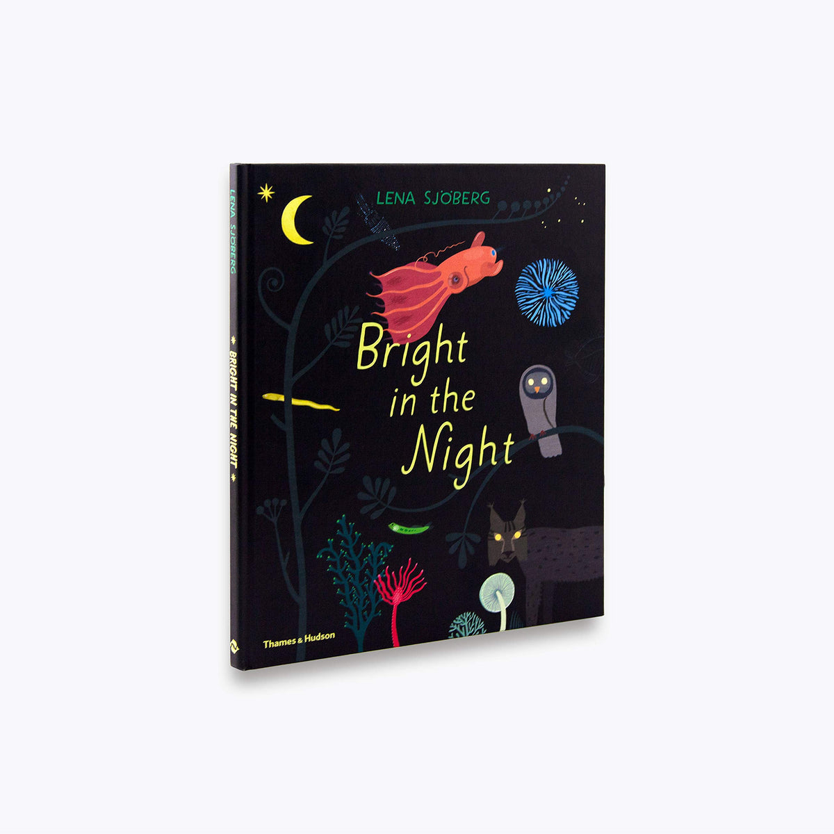Product image of Bright In The Night