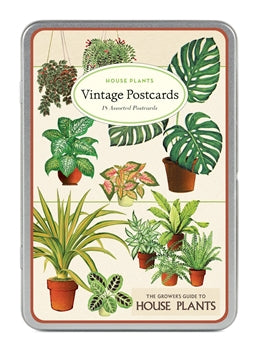" House Plants " Postcards