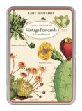 " Succulents " Postcards