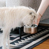 Pyrite - Stainless Steel S'well Dog Bowl