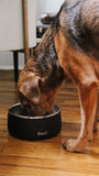 Onyx - Stainless Steel S'well Dog Bowl