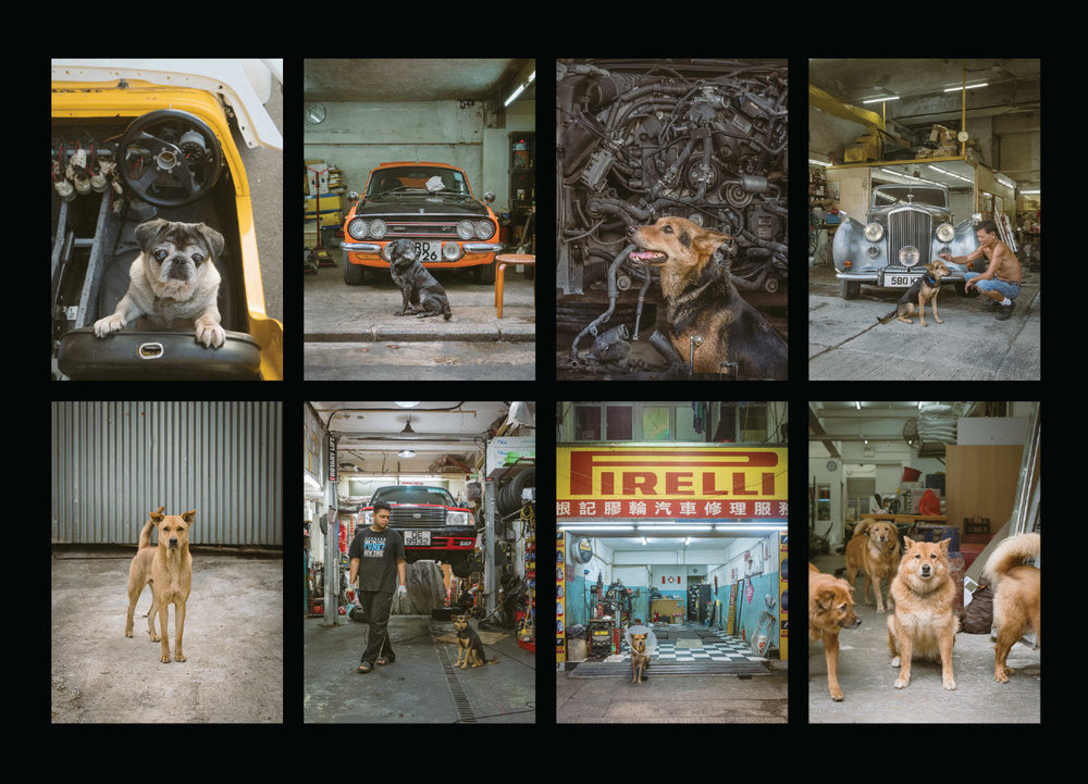 Hong Kong Dogs Postcards (Set of 8)