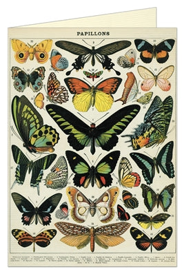" Butterflies " Card
