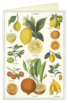 " Citrus " Card