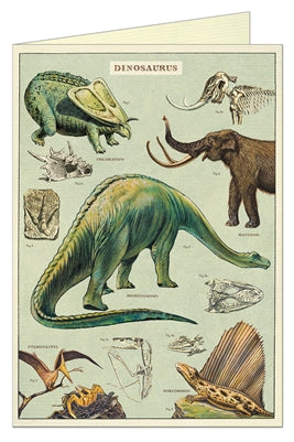 " Dinosaurs " Card