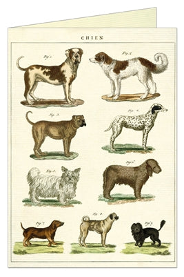" Dogs " Card