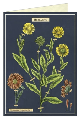" Herbarium " Card