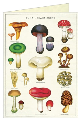 " Mushrooms " Card
