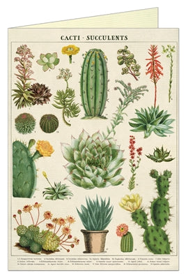 " Cacti & Succulents " Card