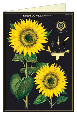 " Sunflower " Card