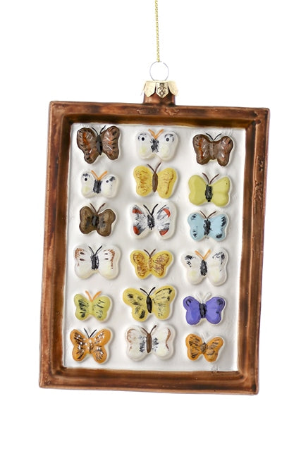 " Framed Butterfly " Ornament