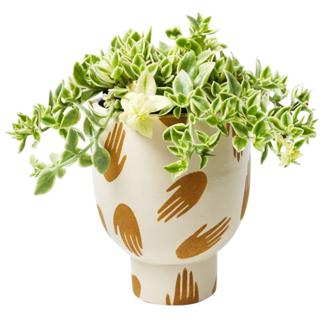 Hi 5 Planter
