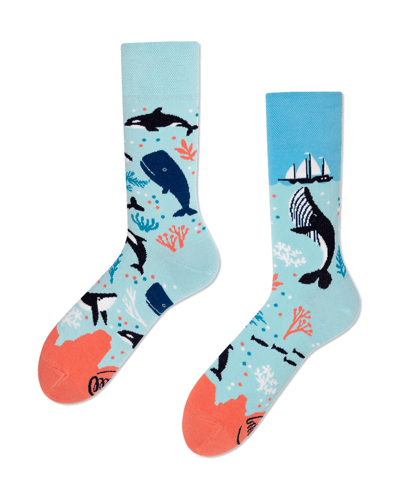 Ocean Life Socks