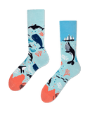 Ocean Life Socks