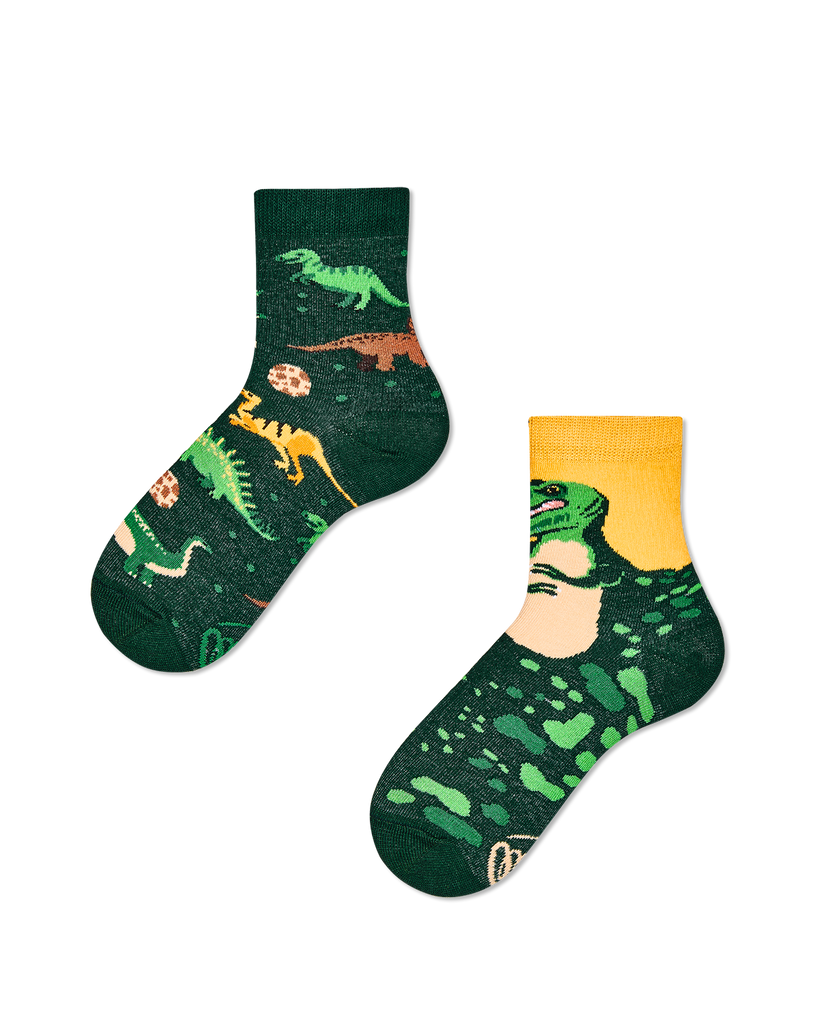 The Dinosaurs Kids Socks