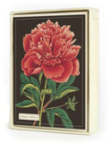 " Botanica " Boxed Note Cards