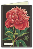 " Botanica " Boxed Note Cards