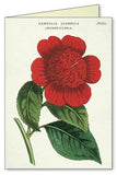 " Botanica " Boxed Note Cards