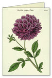 " Botanica " Boxed Note Cards