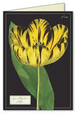 " Botanica " Boxed Note Cards