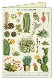 " Succulents " Boxed Note Cards