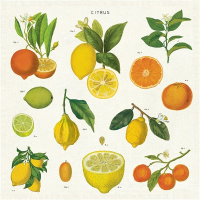 " Citrus Vintage " Napkins