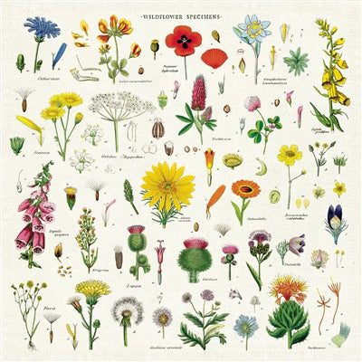 " Wildflowers Vintage " Napkins (Set of 4)