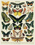 " Butterflies " - 1000-Piece Puzzle