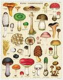 " Mushrooms " - 1000-Piece Puzzle