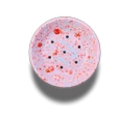 Product image of Island Breeze Soap Dish (Multiple Styles)